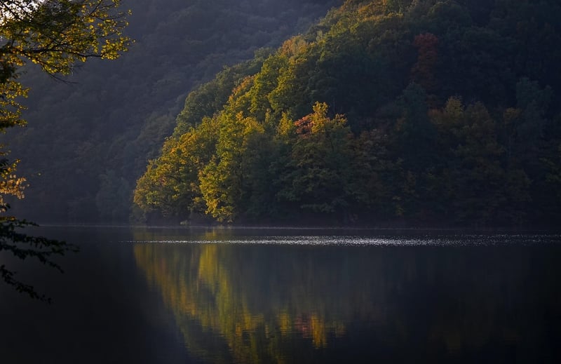 Mystic Lake in Garden