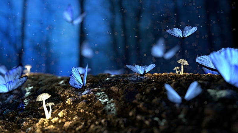 Elf Forest